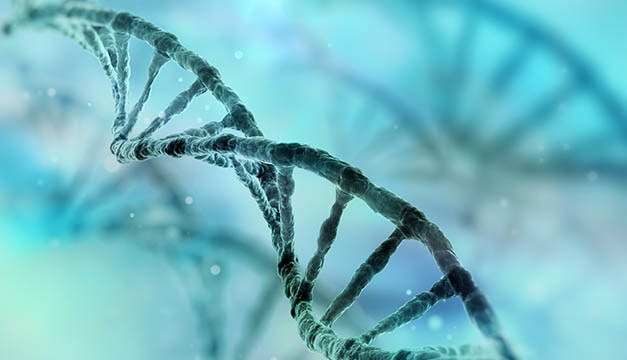 Biofisica