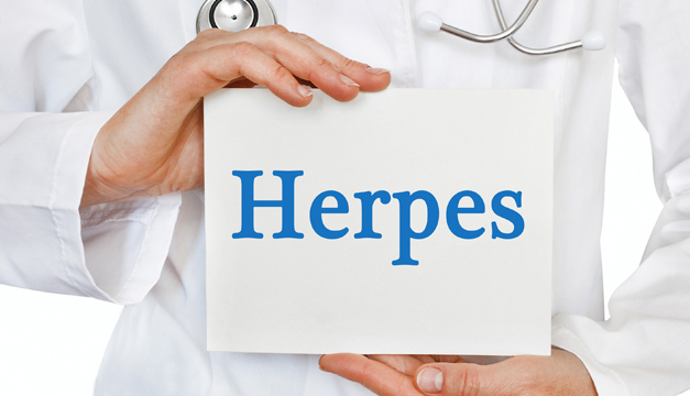 herp3