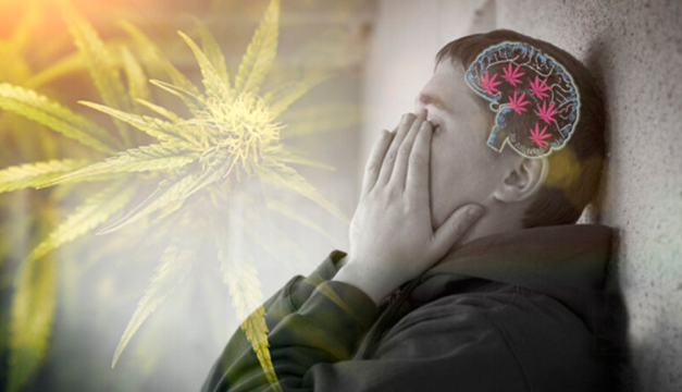 Vinculan la esquizofrenia con el consumo de marihuana, según un estudio