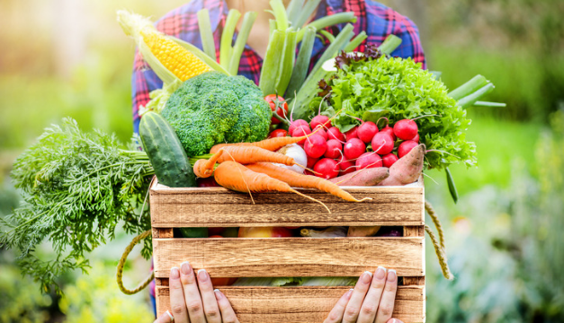 Alimentos para estar hidratado y combatir el calor