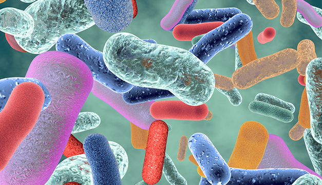 COVID-19 ¿Las bacterias de la flora intestinal protegen del virus?