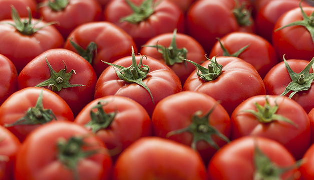 5 beneficios para incluir tomates en tu dieta