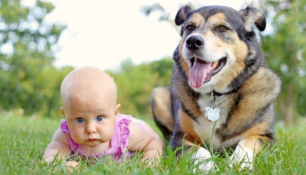 Algunos beneficios de criar a tu hijo en un hogar con mascotas