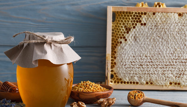 El polen de abeja y sus propiedades