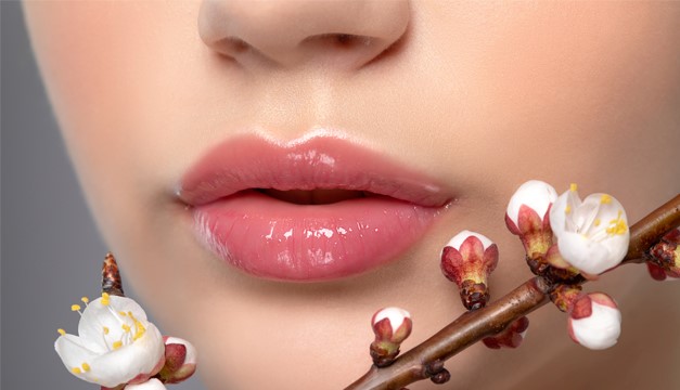 Remedios caseros para tratar los labios resecos