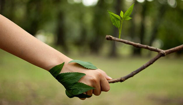 Practica estos consejos para aportar sustentabilidad al medioambiente