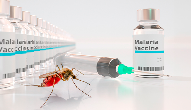 OMS anuncia distribución de la primera vacuna contra la malaria