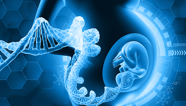 El ADN del cordón umbilical podría predecir futuras enfermedades, según un estudio