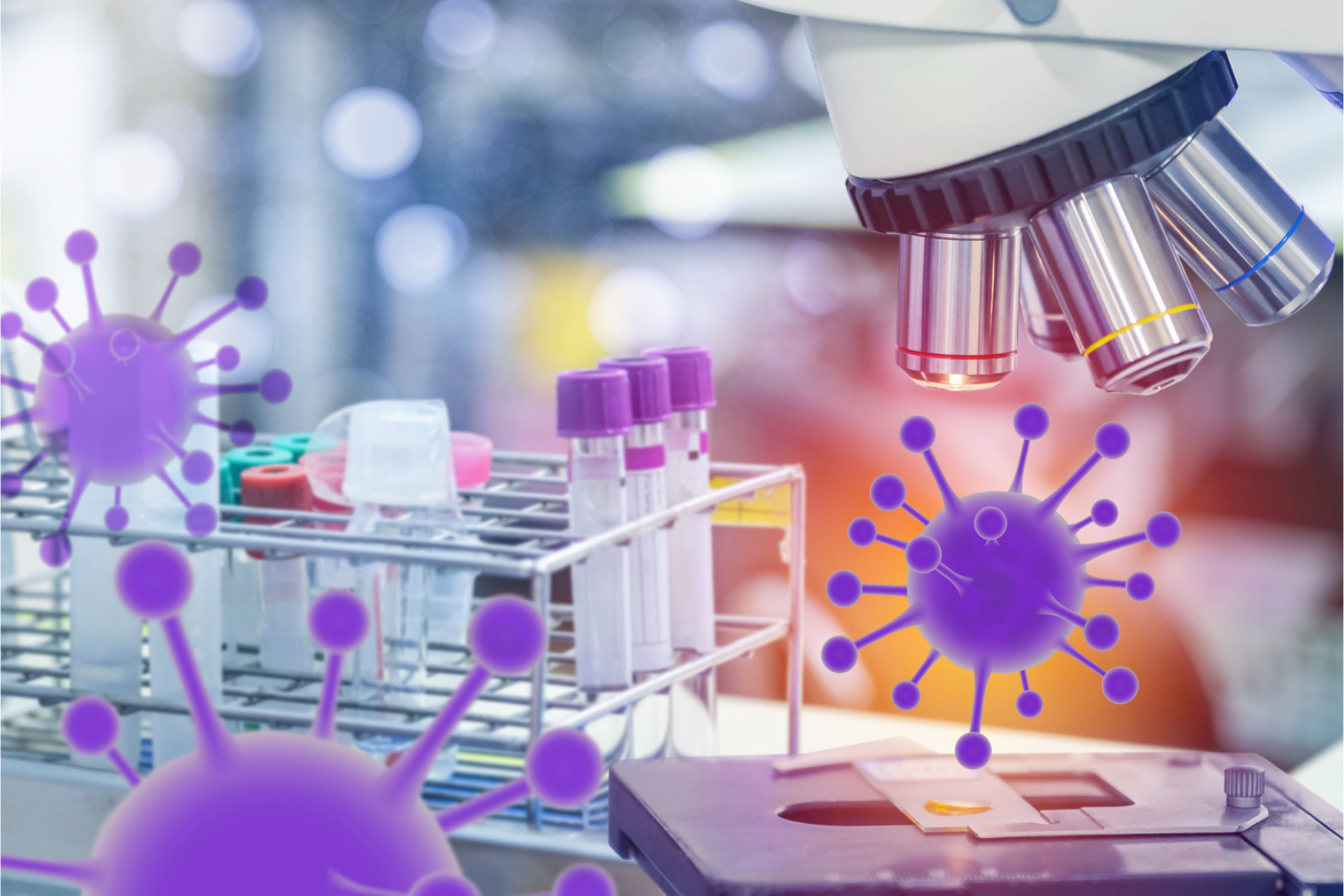 Descubren cómo las bacterias se protegen de virus atacantes