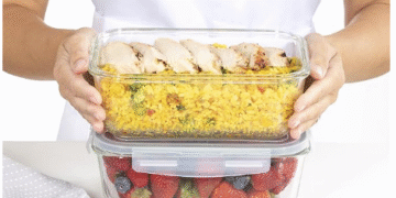 ¿Cuáles son los mejores recipientes para llevar almuerzos?